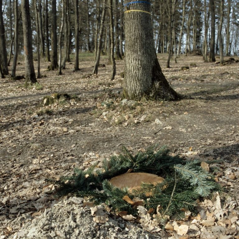 Friedwald
